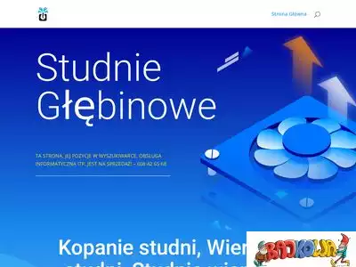 studnieglebinowe.net