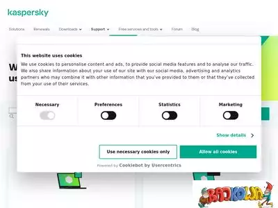 support.kaspersky.com