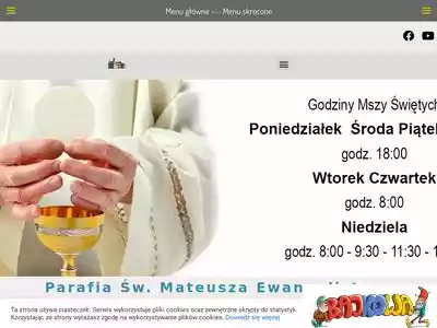 swmateusz-dawidy.pl