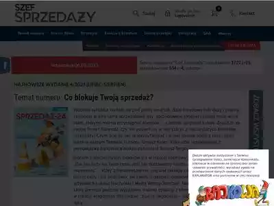 szef-sprzedazy.pl