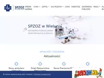 szpital-wielun.pl