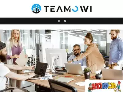 teamowi.pl