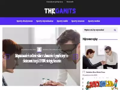 thegamits.pl