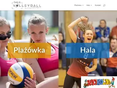 thisisvolleyball.com