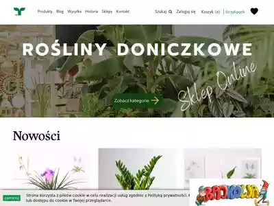 tomaszewski.pl