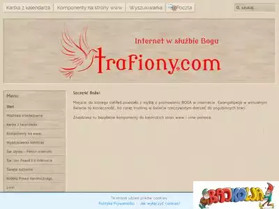 trafiony.com