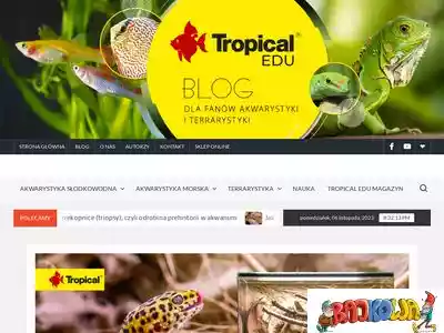 tropicaledu.pl