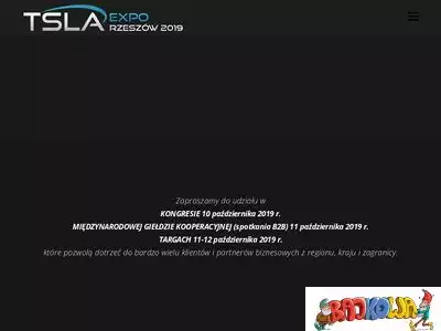 tslaexpo.pl