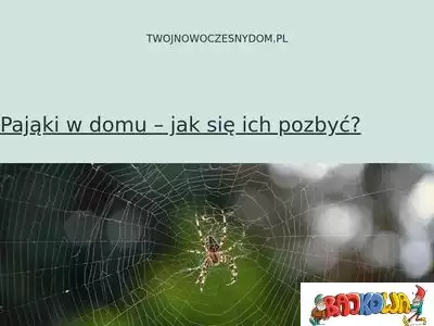 twojnowoczesnydom.pl