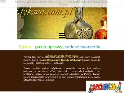 tykwa.com.pl