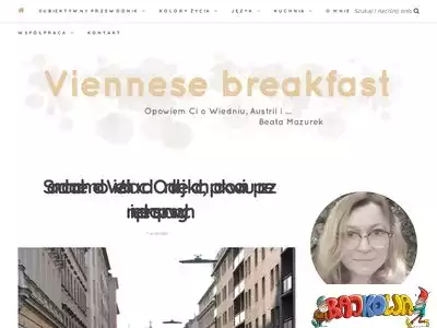 viennesebreakfast.com