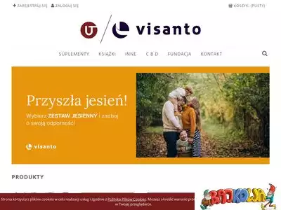 visanto.com