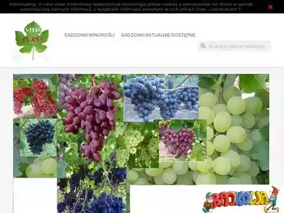 vitis-plant.eu