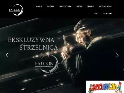 wcsfalcon.pl