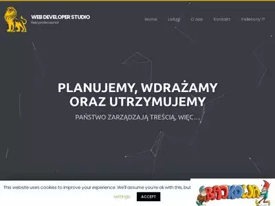 web-developer-studio.pl