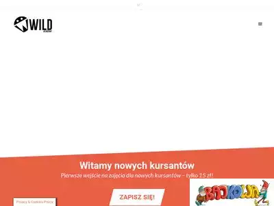 wild-dance.pl