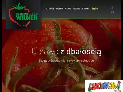 wilner.pl