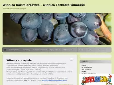 winnica-kazimierzowka.com