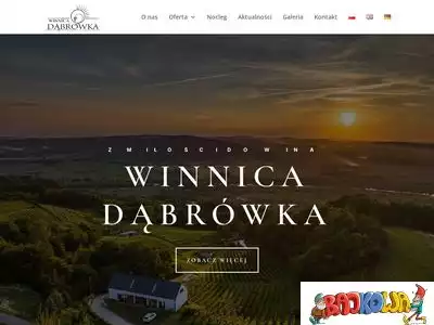 winnicadabrowka.pl