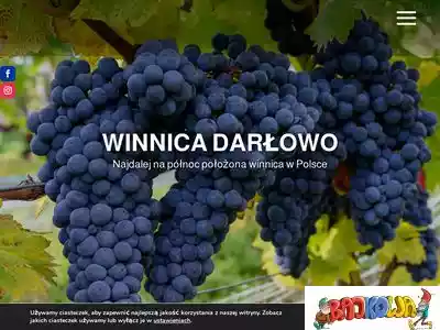 winnicadarlowo.pl