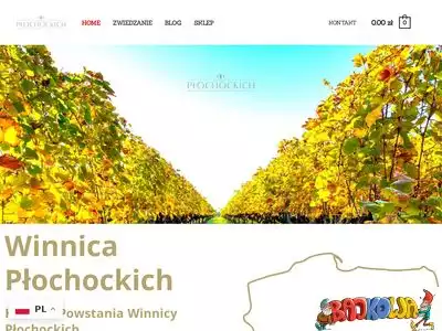 winnicaplochockich.pl