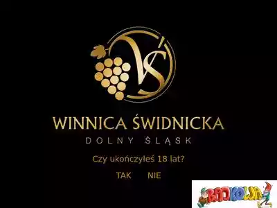 winnicaswidnicka.eu