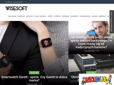 wisesoft.pl