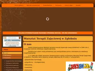 wtz-zglobien.pl