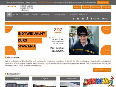 wzdz.pl