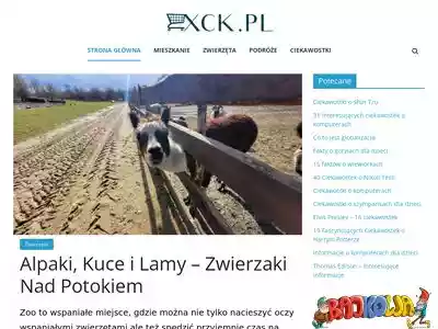 xck.pl