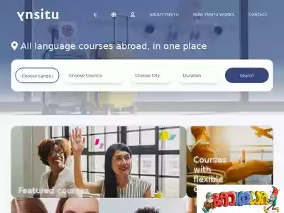 ynsitu.com