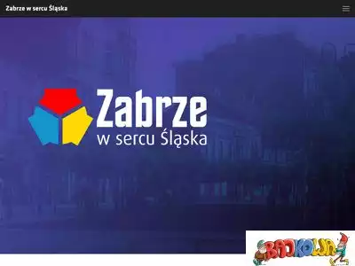 zabrzewsercuslaska.pl