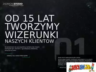 zaginionestudio.pl