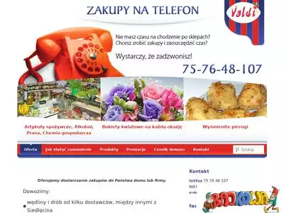 zakupynatelefon.jgora.pl