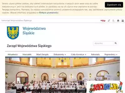 zarzad.slaskie.pl