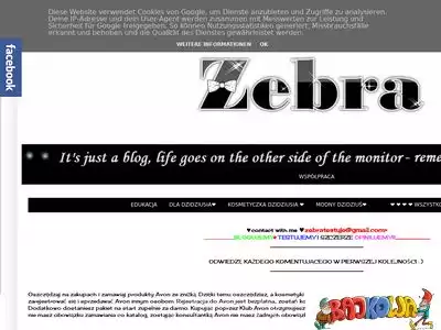 zebratestuje.blogspot.com