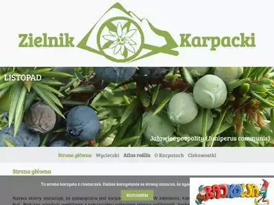 zielnik-karpacki.pl