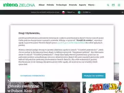 zielona.interia.pl