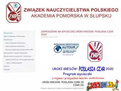 znp.upsl.edu.pl