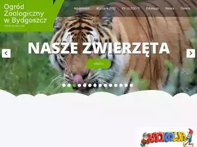 zoo.bydgoszcz.com