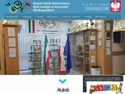 zsmsgorzow.edupage.org